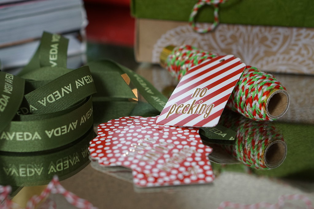 Christmas Gift Wrapping | Plsdotell